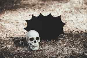 Free photo skull lying on ground with halloween decoration