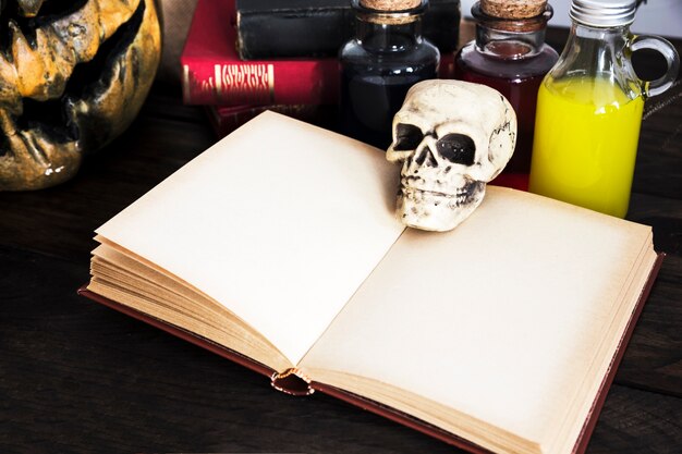 Skull on opened empty book