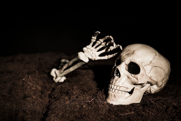 Free photo skull and skeleton's hand on ground