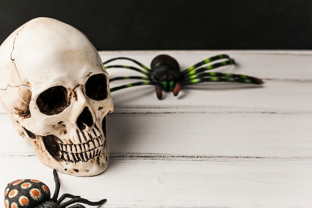 Free Photo skull and toy spiders