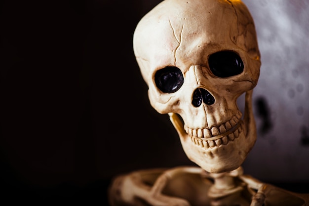 Free photo skull with black eyes