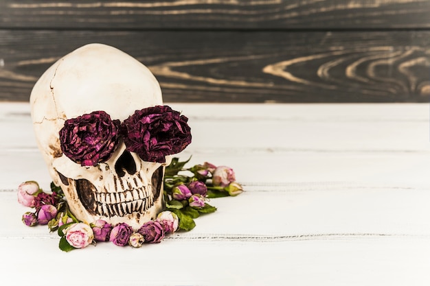 Skull with roses in eye sockets