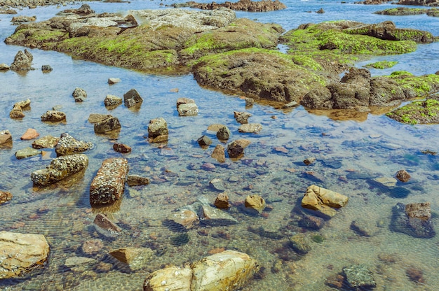 Free Photo sky outdoor wave stone island seaweed