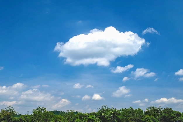 Sky with clouds and trees