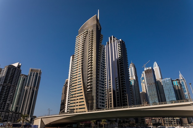 Free photo skyscrapers in dubai marina.