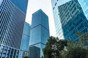 Free photo skyscrapers from a low angle view