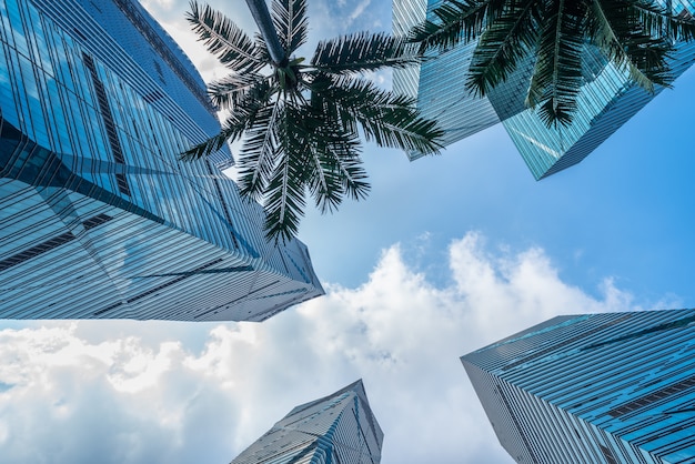 Free Photo skyscrapers from a low angle view