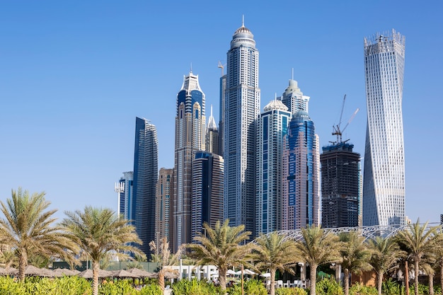 Free photo skyscrapers and palm trees in dubai. uae