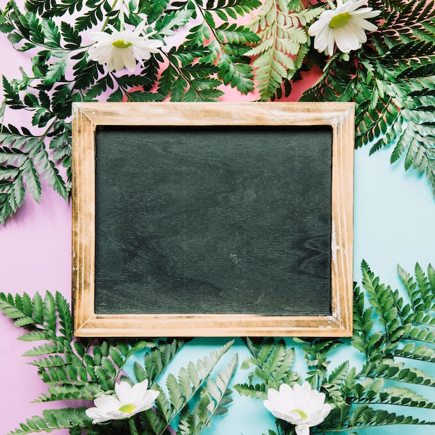 Free photo slate on exotic leaves