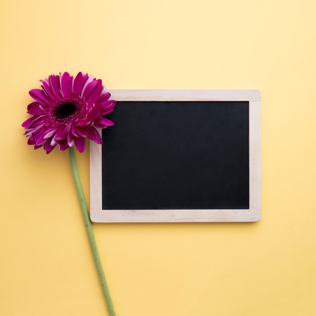 Free Photo slate with purple flower