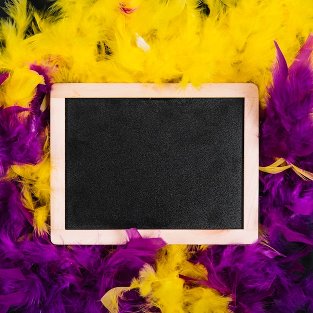 Free Photo slate on yellow and purple feathers