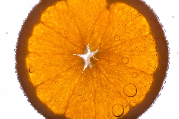 Slice of an orange floats in water on white background