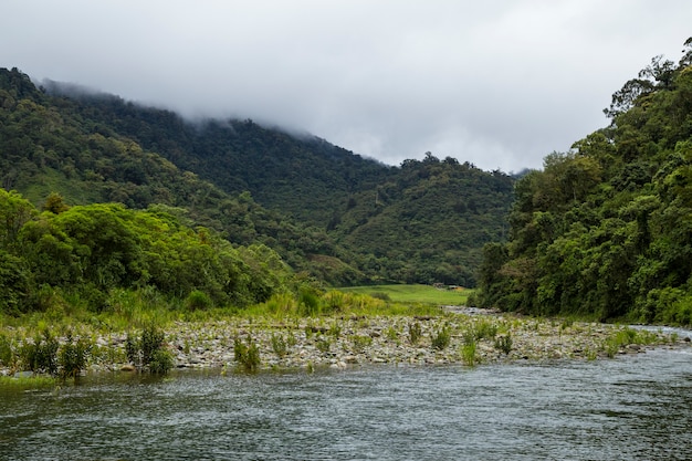 Slowly flowing river in tropical rainforest at costa rica