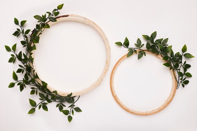 Free photo small and big wooden circular frame with green leaves on white backdrop