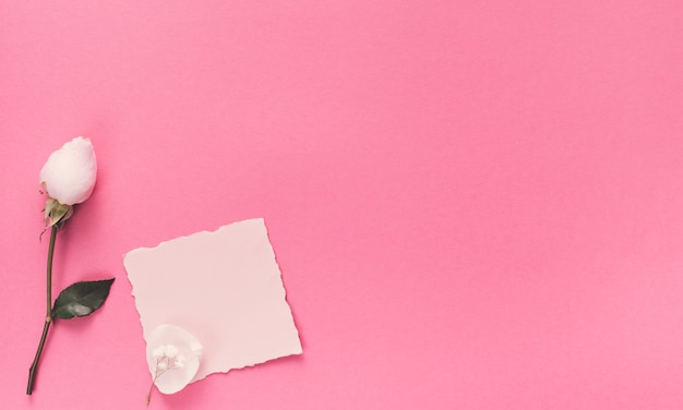 Small blank paper with white flower on pink table