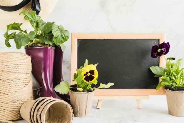 Free photo small blank wooden blackboard with potted plants; rope spool and peat pots