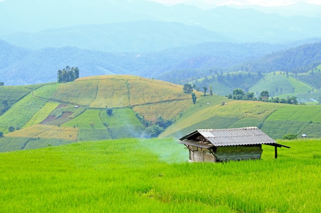 Small cottage with black tile roof surrounded by green fields