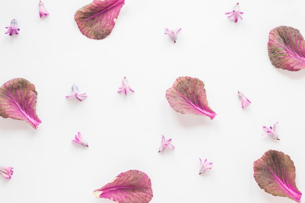 Free photo small flowers with leaves on table