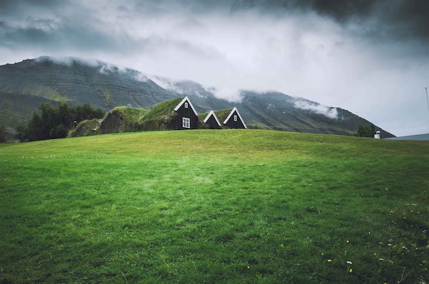 Free photo small houses in a green field with dark sky