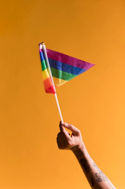 Small LGBT rainbow flag