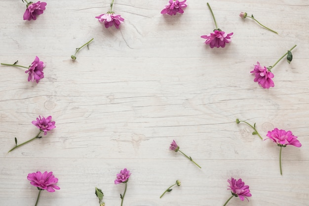 Free Photo small pink flowers scattered on table