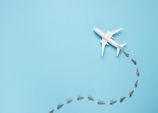 Small plane with trace of seashells