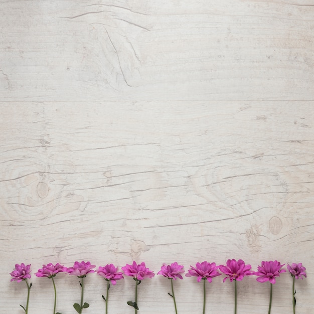 Free Photo small purple flowers scattered on white table