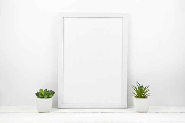 Small succulent plant and empty frame at home