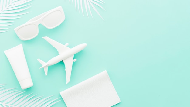 Small toy plane with sunglasses and palm leaves 