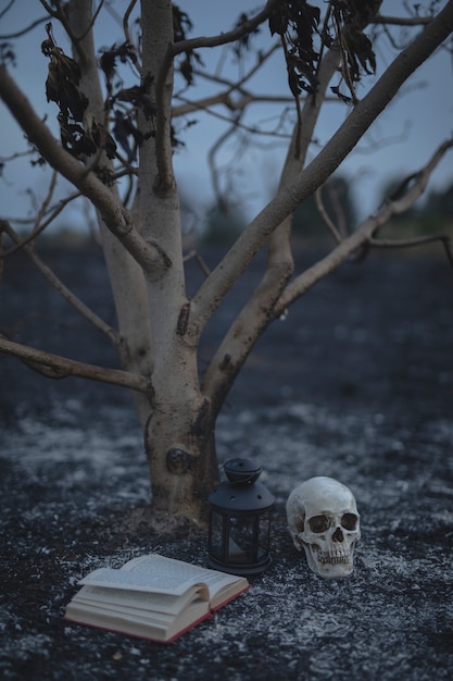 Free Photo small tree with spell book and skull for halloween night