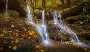 Free photo small waterfall on the rocks with fallen leaves in autumn