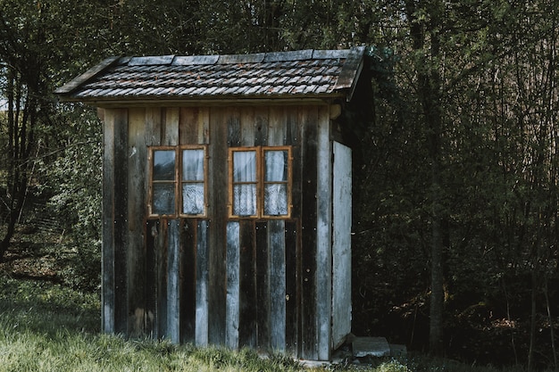 Free photo small wooden cabin with brown windows with white curtains in a forest surrounded by trees