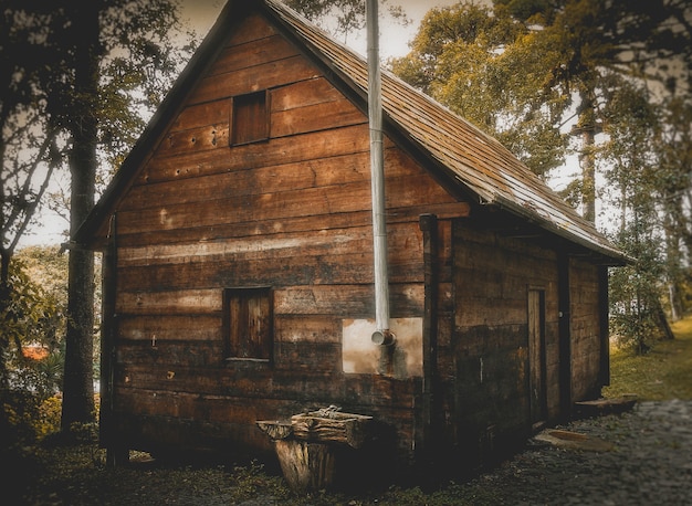 Free Photo small wooden house in the forest during daytime