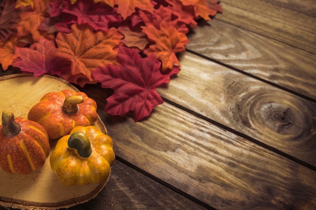 Free Photo small yellow pumpkins set with orange leaves 