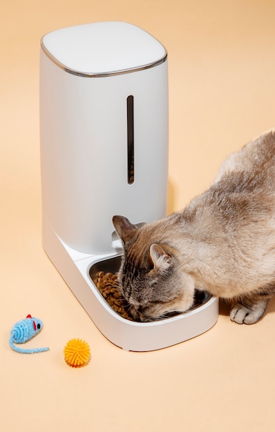 Smart feeder for pets still life