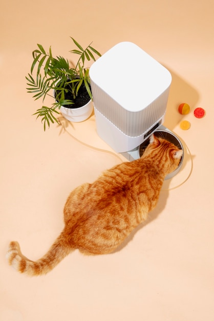 Smart feeder for pets still life