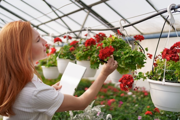 Smart greenhouse control. Female worker inspects red flowers and note data at daylight