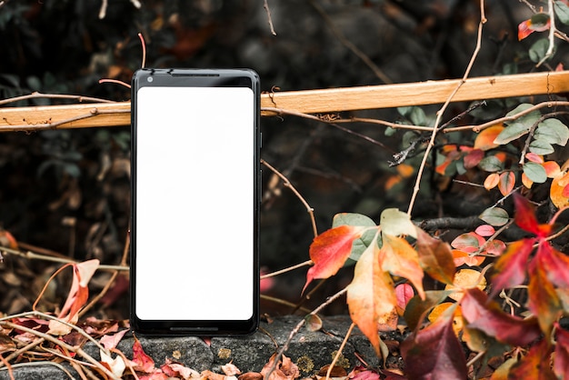 Free photo smart phone with blank white screen near the autumn leaves