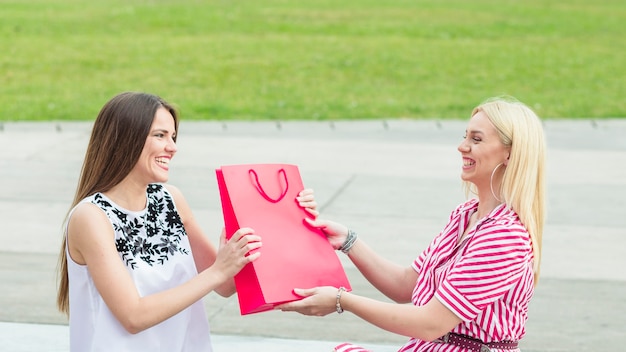 Free photo smiling female friend giving pink paper bag to his friend