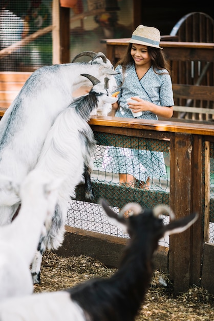 Smiling girl feeding food to goat