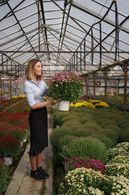 Free photo smiling happy florist in her nursery standing holding potted chrysanthemums in her hands as she tends to the gardenplants in the greenhouse