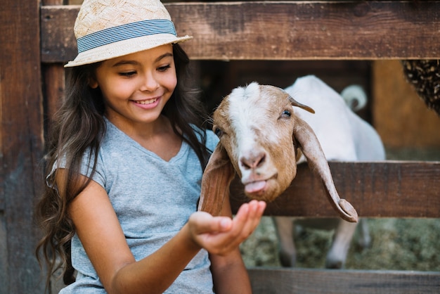 Smiling portrait of a girl feeding goat in the barn