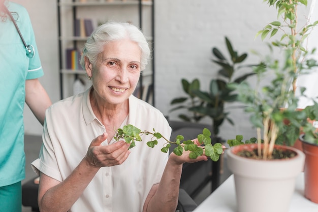 Smiling senior woman holding ivy growing in pot