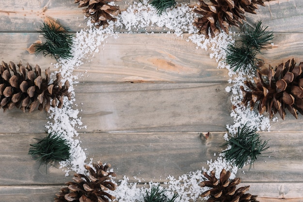 Snags near fir needles and snow