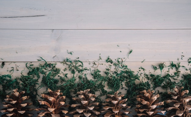 Free photo snags on wood plank