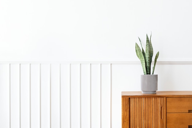 Snake plant in a gray plant pot on a wooden cabinet