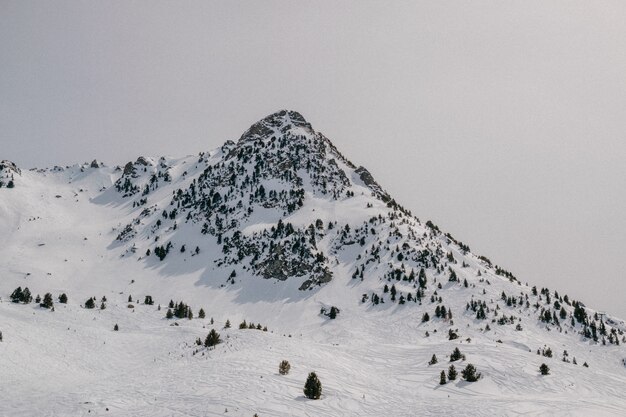 Snow capped mountain