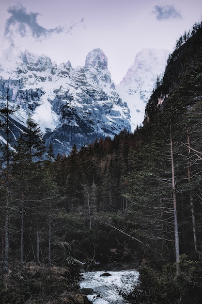 Free Photo snow capped mountains near forest