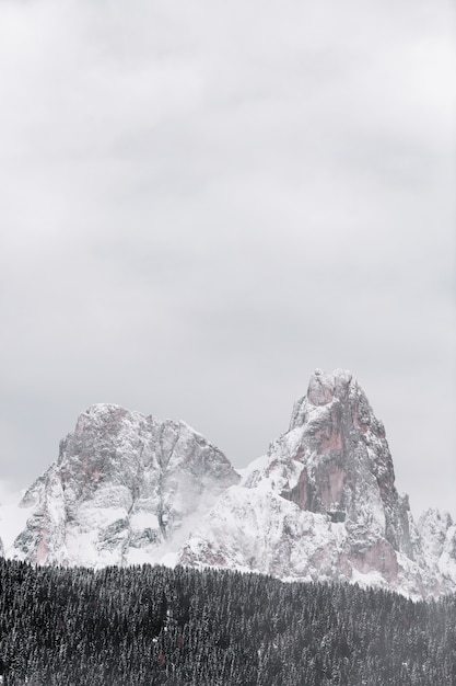 Free photo snow covered mountain by forest during winter season