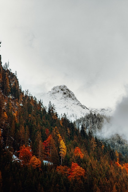 Free photo snow covered mountain during daytime